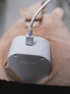 Peluche Aide Au Sommeil Rechargeable TOMMEE TIPPEE Bennie L’ourson Beige - Tommee Tippee -Enfant Meubles Boutique peluche aide au sommeil rechargeable tommee tippee bennie lourson 4