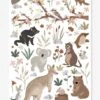 Stickers Animaux D'Australie Lilydale LILIPINSO Gris - Lilipinso